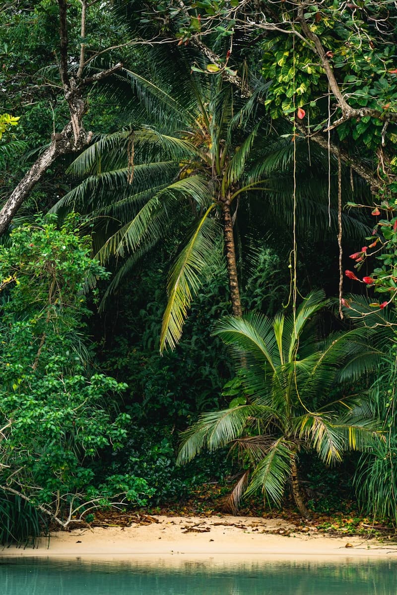 Jamaica Winter Escape