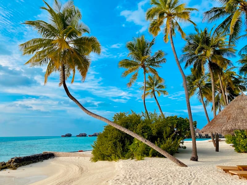 Virgin Voyages - Key West & Bahamas